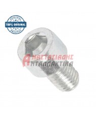 Βίδα χειρολαβής καφετιέρας