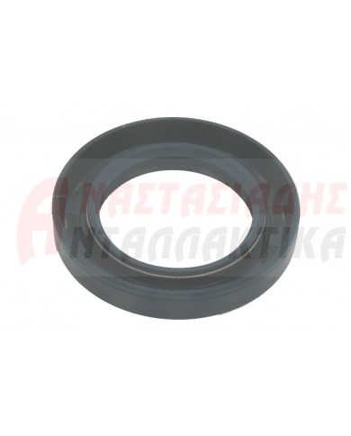 Τσιμούχα πλυντηρίου ρούχων (40 x 62 x 10mm)